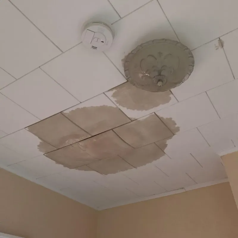 Ceiling Water Damage Repair in Holbrook, NY