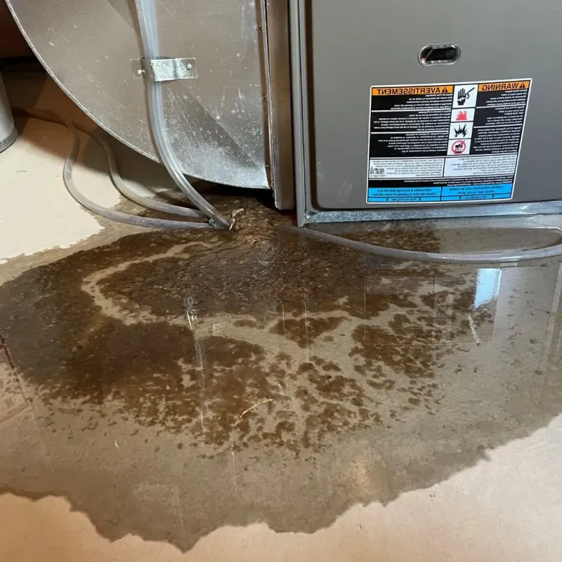 Pipe Burst and Leak Restoration in Holbrook, NY